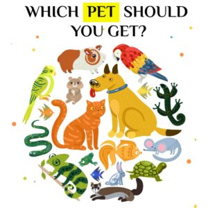 Which pet should you get?